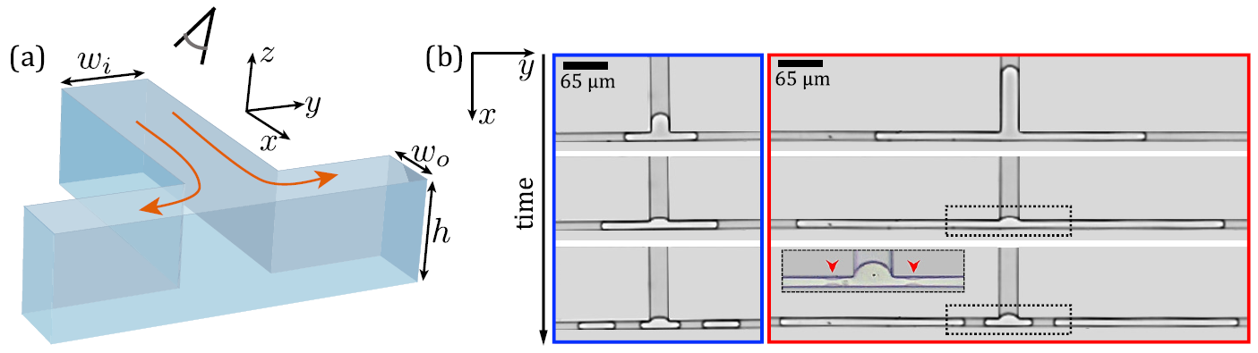 example image
